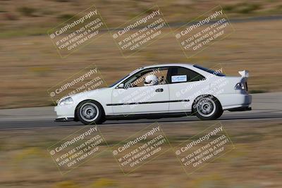 media/Nov-03-2023-Club Racer Events (Fri) [[fd9eff64e3]]/Yellow/Panning/